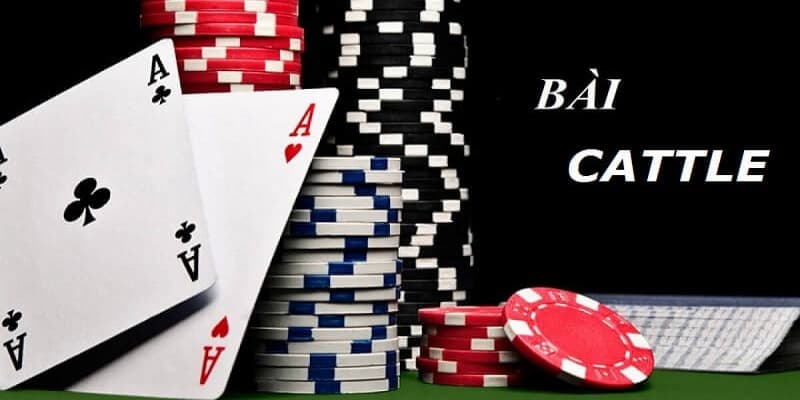 Nắm rõ thuật ngữ để có chiến thuật chơi hay